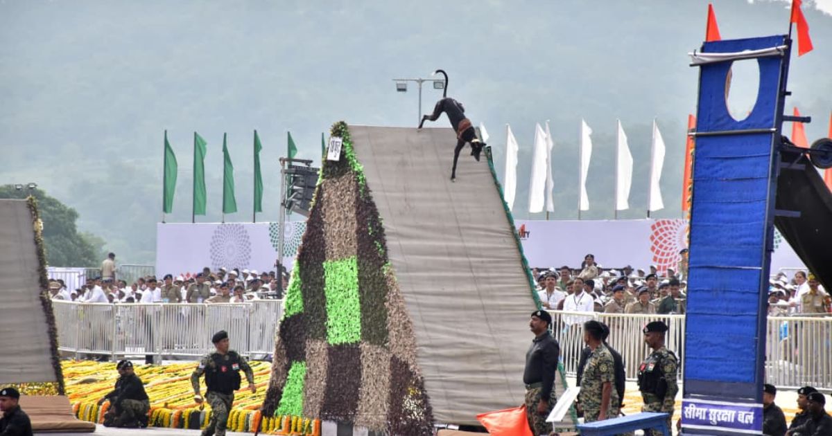 રાષ્ટ્રીય એકતા પરેડમાં અદભુત દ્રશ્ય: BSFના ભારતીય શ્વાન દળે શૌર્યનું પ્રદર્શન કરી સૌને મંત્રમુગ્ધ કર્યા