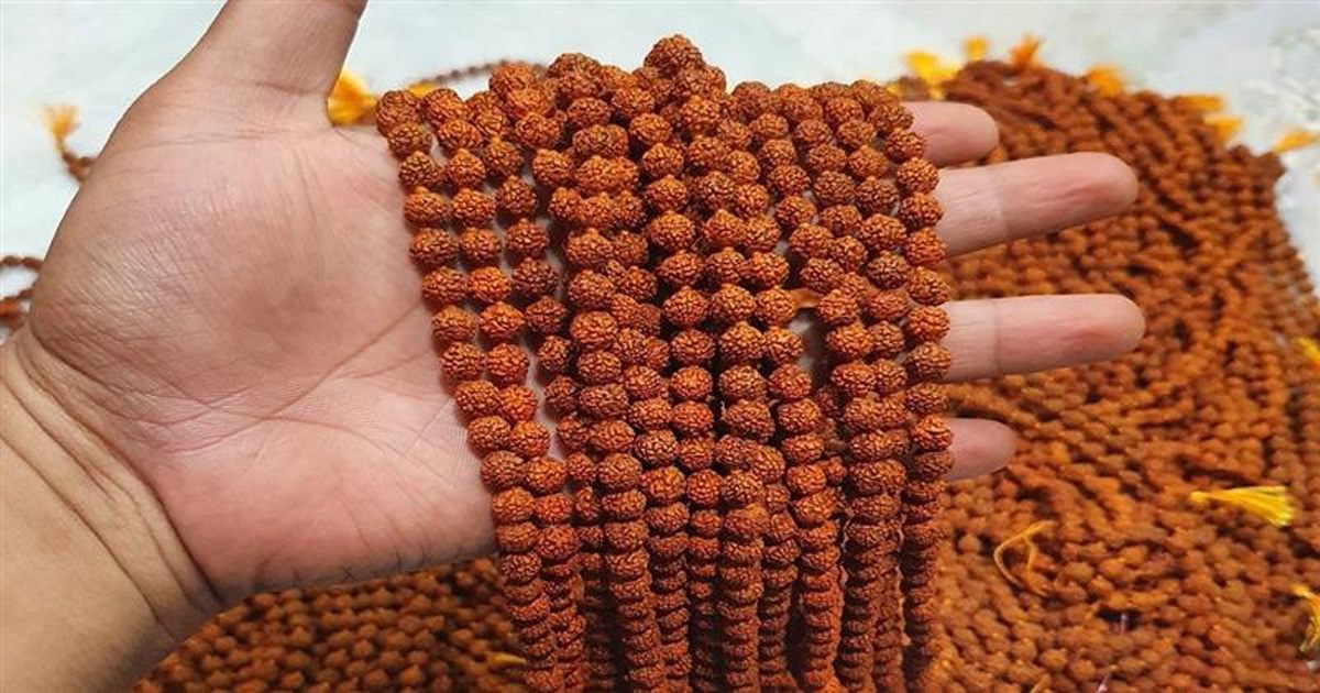 રુદ્રાક્ષ ખરીદવાનો વિચાર છે? પહેરતા  પહેલા જાણો, કઈ રાશિ માટે કયો રુદ્રાક્ષ શુભ?