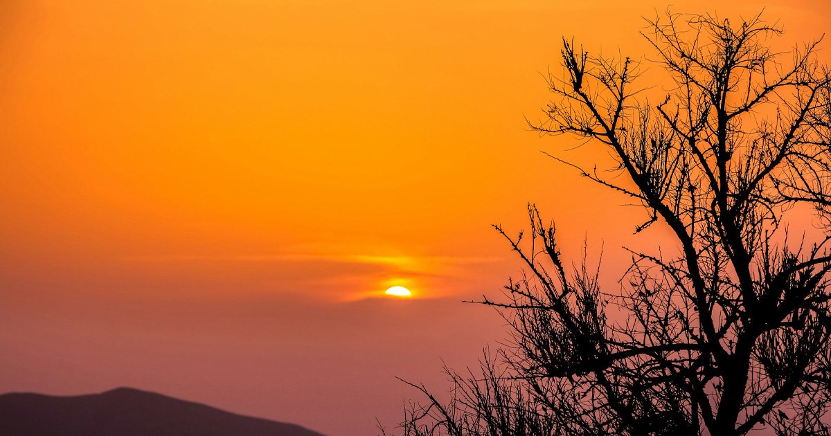 સાંજે આ 4 વસ્તુઓ કોઈને આપવી ન જોઈએ, માં લક્ષ્મી થઈ શકે છે ગુસ્સે