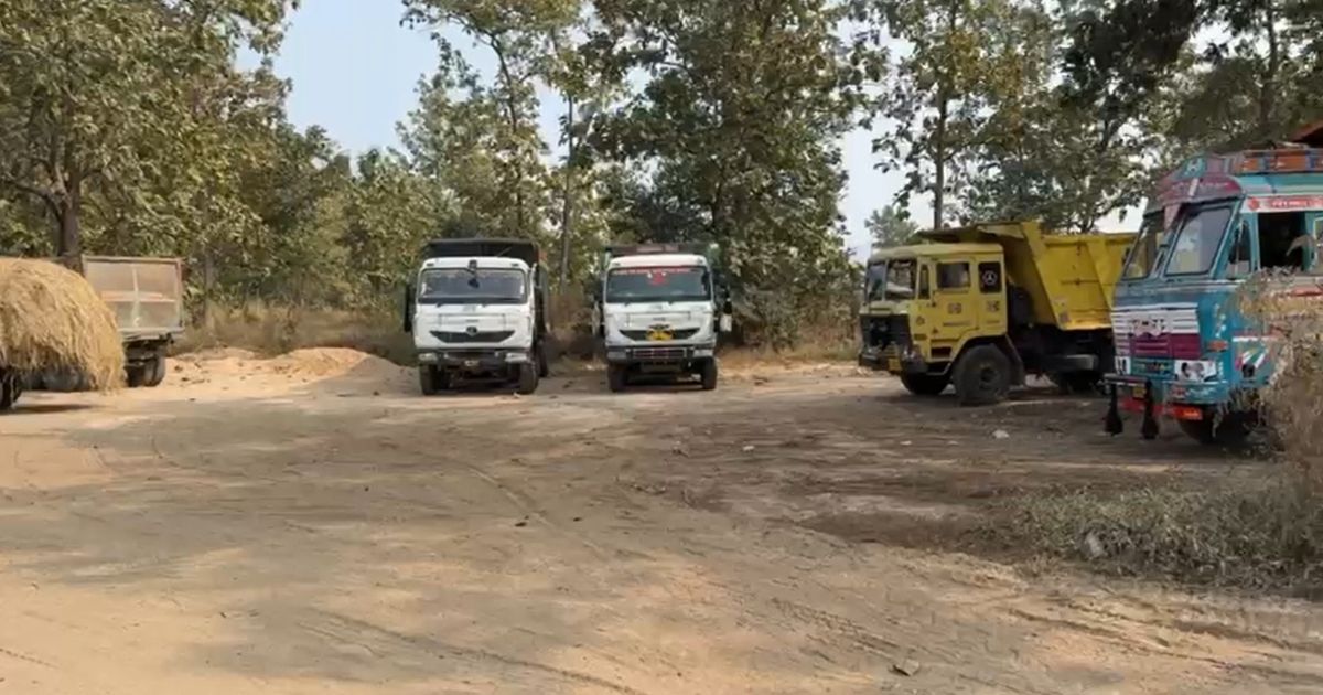 છોટાઉદેપુર-દાહોદમાં વાઘ અસુરક્ષિત: કલેક્ટરને કરાઈ ગંભીર લેખિત ફરિયાદ