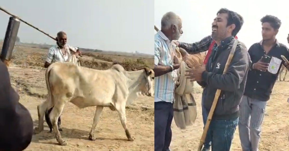 લીંબડીમાં ખેતરમાં ઢોર ઘુસાડવાના મુદ્દે વિવાદ, 10થી વધુ લોકોએ ખેડૂતો પર લાકડીથી હુમલો કર્યો