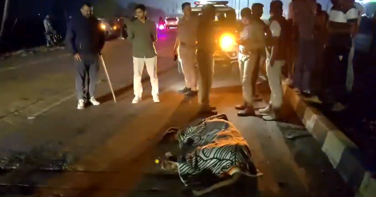 અમરેલી: નેશનલ હાઈવે પર કાળમુખા વાહનનો કહેર; નાગેશ્રી ટોલનાકા પાસે કારની ટક્કરે સિંહણનું કમકમાટીભર્યું મોત