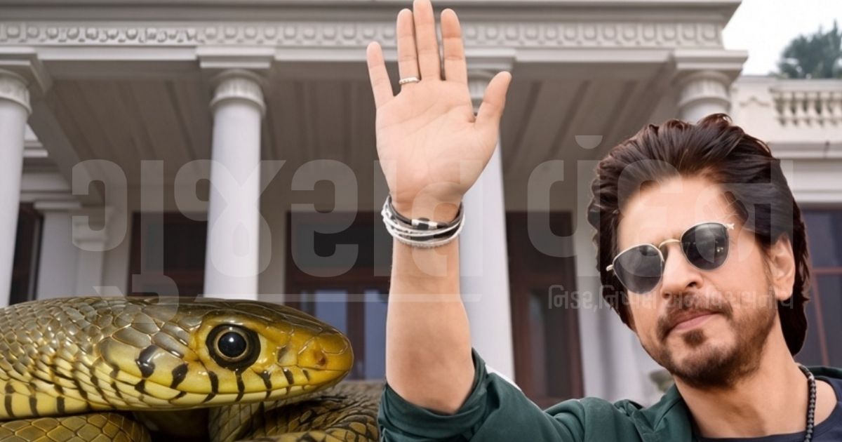 entertainment news image