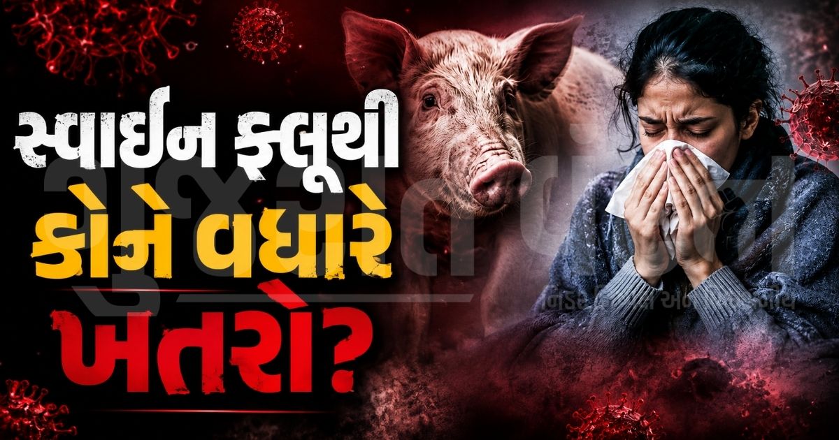 "સ્વાઈન ફ્લૂના દર્દીઓની 3 કેટેગરી!", કયા લક્ષણો પર તુરંત હોસ્પિટલ જવું? ડોક્ટરે આપી સલાહ