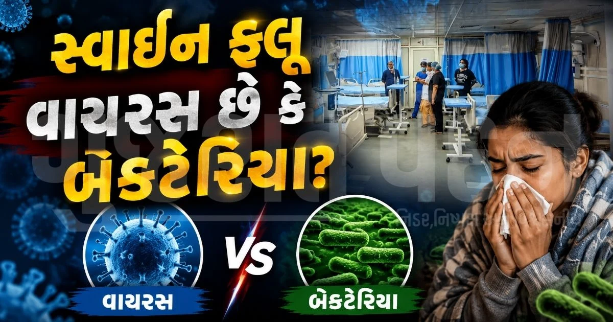 "તાવ-શરદીમાં ભૂલથી પણ ન ખાતા એન્ટિબાયોટિક્સ!", સ્વાઈન ફ્લૂના વધતા કેસો વચ્ચે ડૉક્ટરની ચેતવણી