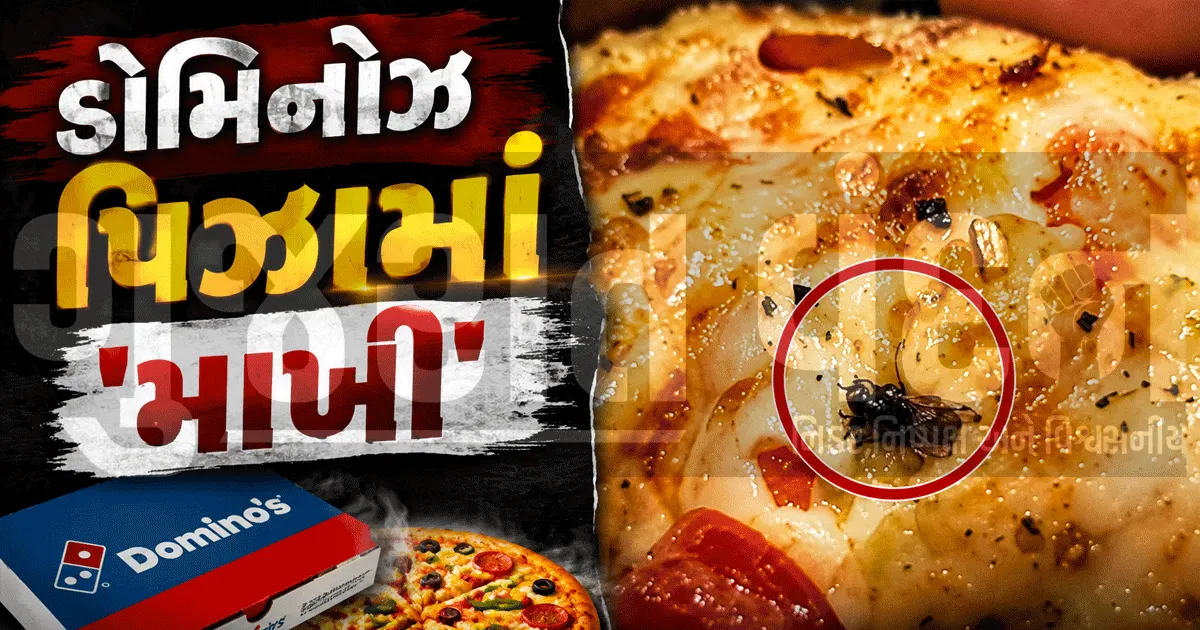 "પિઝામાં માંખી મેલ્ટ થઈ ગઈ!", રાજકોટના ડોમિનોઝમાં ગ્રાહકને પીરસાયો વાંધાજનક ખોરાક, વીડિયો વાયરલ