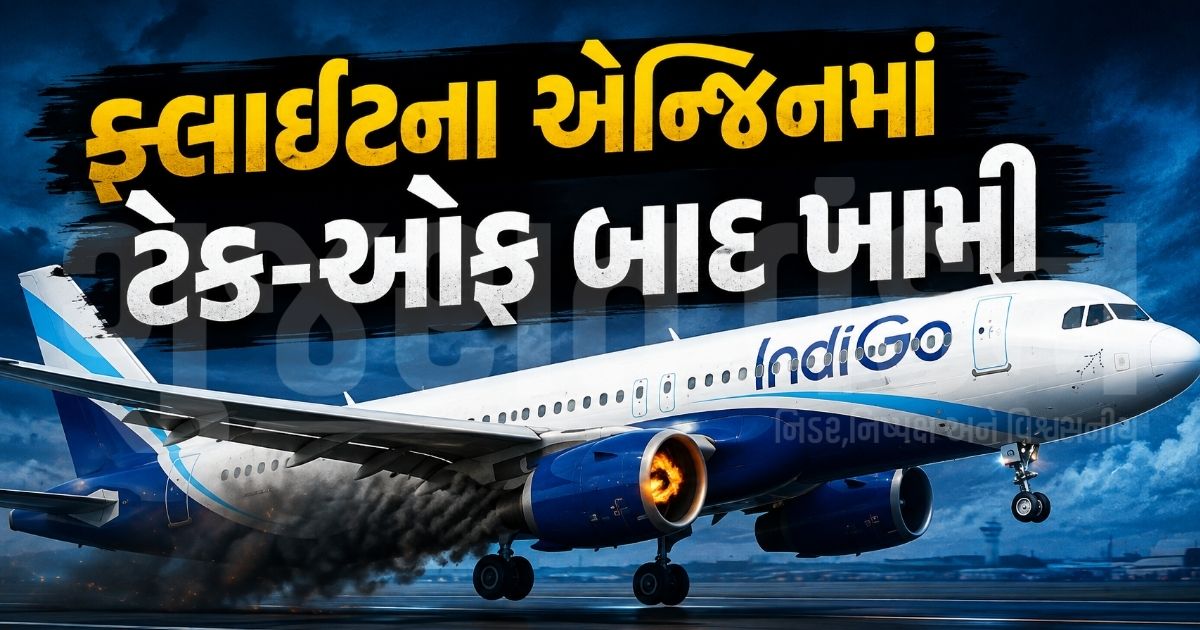 "હવામાં જ એન્જિન ખોરવાયું!", ગોવા-દિલ્હી ઈન્ડિગો ફ્લાઈટનું ઈમરજન્સી લેન્ડિંગ, 229 મુસાફરોનો આબાદ બચાવ
