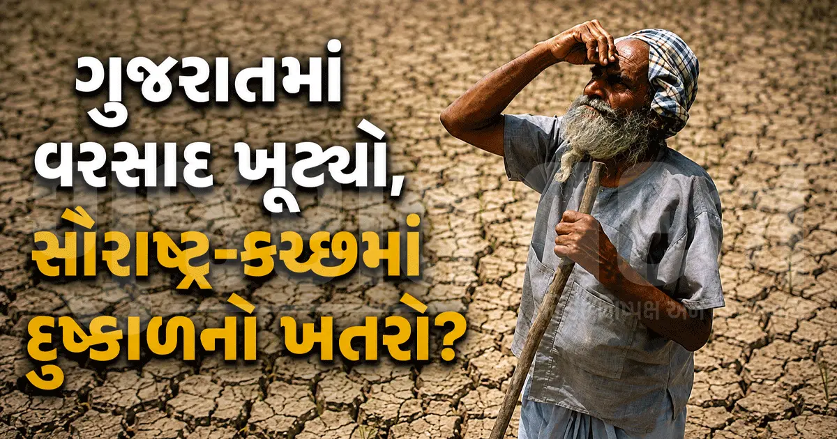 ગુજરાતના 10 તાલુકા હજુ તરસ્યા! 10 ઈંચ પણ વરસાદ નહીં, કચ્છ-દ્વારકામાં વિકટ સ્થિતિ