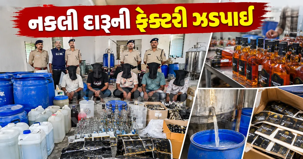 માળિયાના મોટા દહીસરામાં ઘરમાં ચાલતી નકલી દારૂની ફેક્ટરી ઝડપાઈ, 400 લીટર કેમિકલ સાથે 5 બૂટલેગરો ગિરફ્તાર