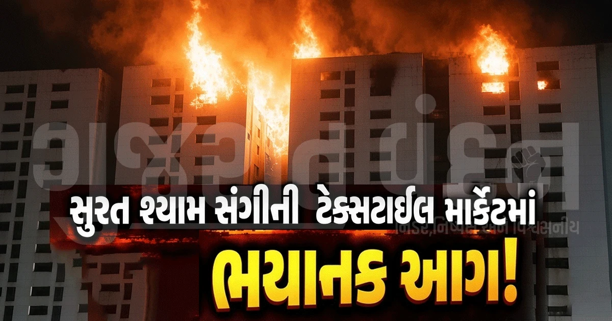 સારોલીની ટેક્સટાઇલ માર્કેટમાં ભયાનક આગ! 15થી વધુ ફાયર ગાડીઓ સાથે બચાવ કામગીરી તેજ