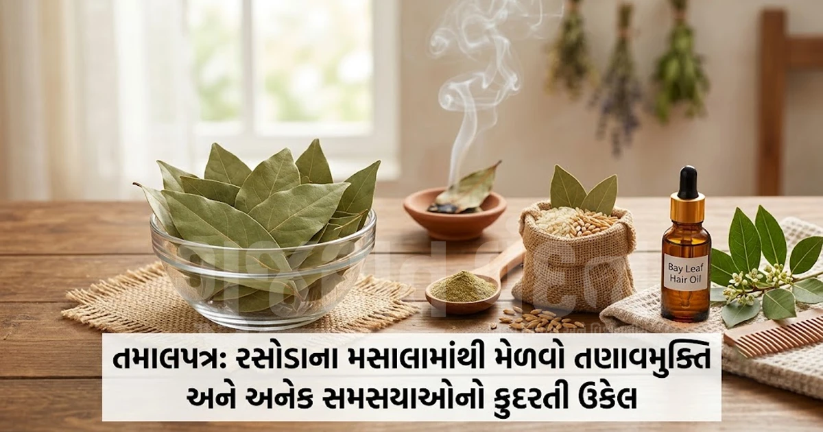 રસોડામાં રહેલું તમાલપત્ર છે કુદરતી ઔષધિ: વંદા, ખોડો, અનાજની જીવાત અને તણાવથી મુક્તિ મેળવવાનો રામબાણ ઈલાજ