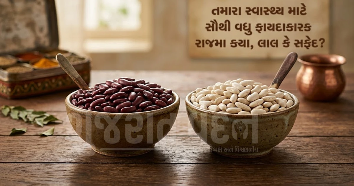 લાલ કે સફેદ રાજમા? જાણો આરોગ્ય માટે કયા રાજમા છે સૌથી વધુ ફાયદાકારક અને પૌષ્ટિક