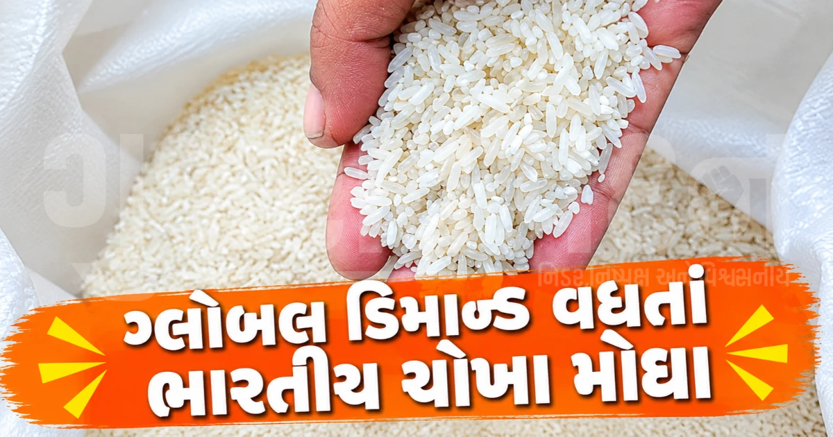 ચોખાના ભાવમાં 25% સુધીનો ઉછાળો, સરકારી ગોડાઉનમાં રેકોર્ડ સ્ટોક છતાં કેમ વધી રહ્યા છે ભાવ?