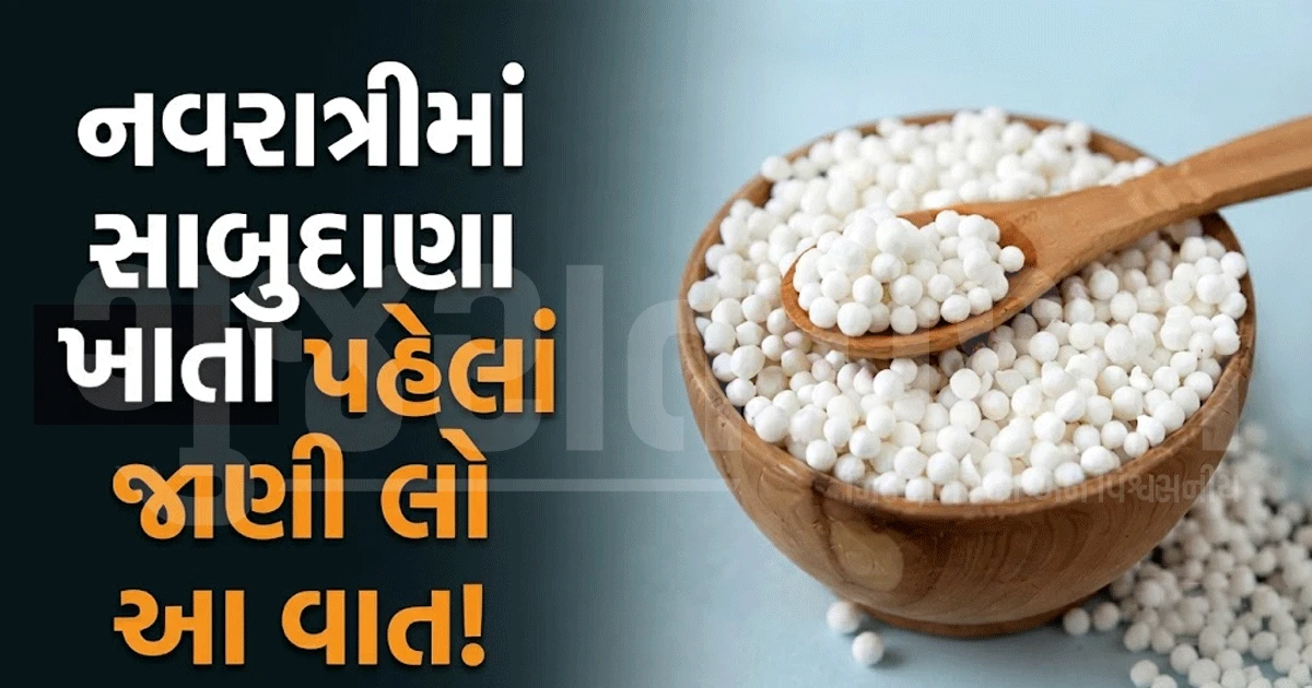 ઉપવાસમાં રોજ સાબુદાણા ખાવા કેટલા યોગ્ય? જાણો શરીરની ઊર્જા અને પાચન પર તેની અસર