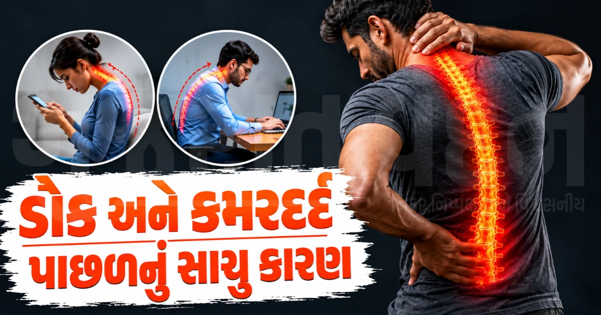 કલાકો સુધી એક જ જગ્યાએ બેસી રહેવાની ટેવ કરોડરજ્જુ માટે ખતરનાક, એક્સપર્ટ પાસેથી જાણો કેટલા ટાઈમ પછી બ્રેક લેવો જરૂરી?