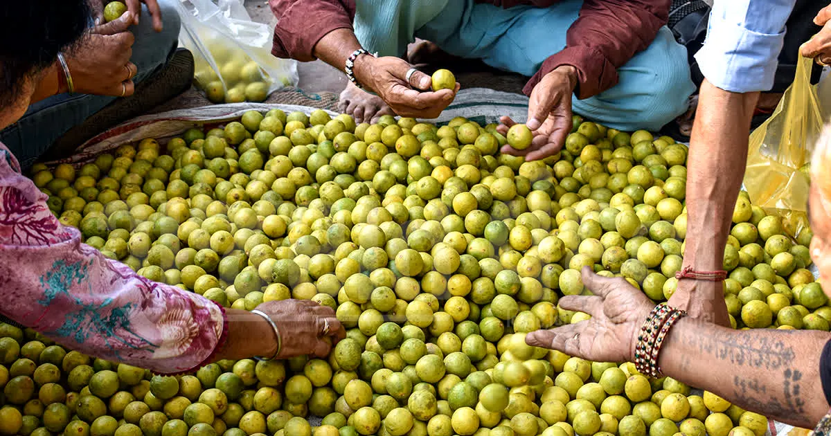 મોંઘવારીમાં વધુ ખાટાં થયાં લીંબુ: આસો મહિનાની અસહ્ય ગરમી વચ્ચે ભાવ ₹300ને પાર, ગૃહિણીઓનું બજેટ ખોરવાયું