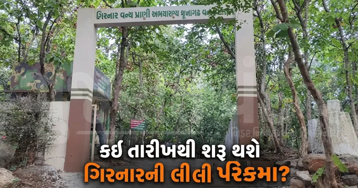 ગિરનારની લીલી પરિક્રમા ક્યારથી શરૂ થશે? યાત્રાળુઓ માટે પાણીની ખાસ વ્યવસ્થા કરાશે