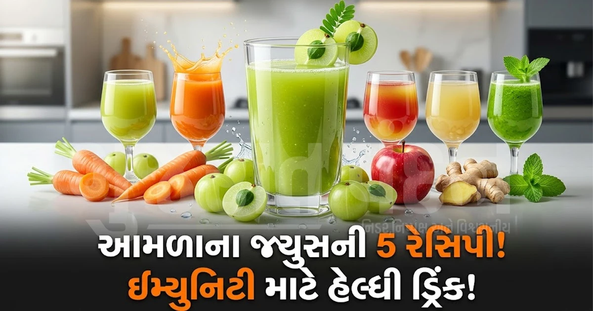 રોગપ્રતિકારક શક્તિ વધારવા માટે ઘરે જ બનાવો ટેસ્ટી અને હેલ્ધી આમળાનું જ્યુસ